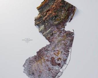 May include: A textured, brown, and green map of the state of New Jersey. The map is made of bark and is shaped like the state. The text "Elevation Map State of New Jersey" is at the top of the map.