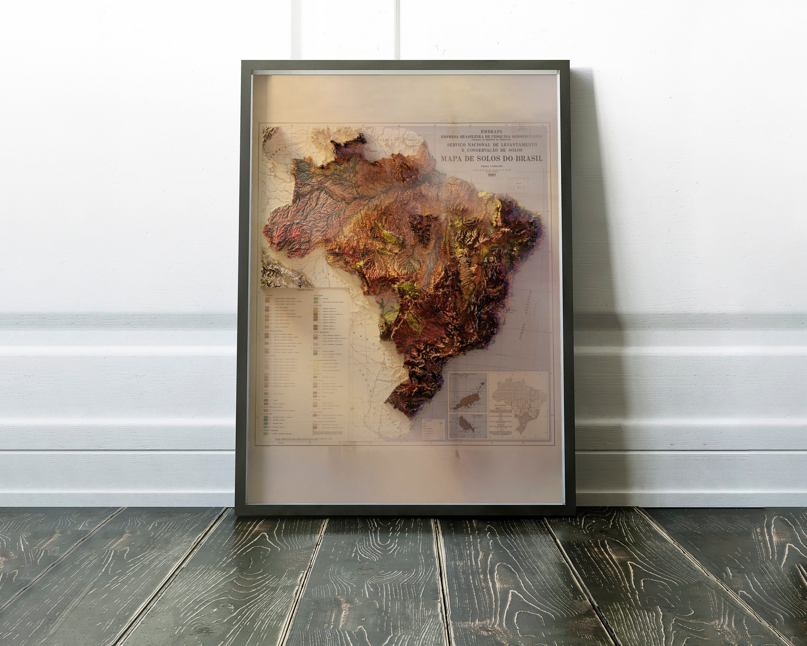 【ブラジル】デンドライト石板額　花草化石　DENDRITOS DO BRAZIL Brazil - Soil (light Fog) - Etsy