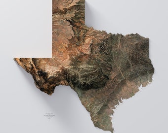 May include: A 3D relief map of the state of Texas, showing the topography of the land. The map is made of a textured material and has a brown and green color scheme. The text "ELEVATION VIEW OF STATE OF TEXAS" is printed in the lower center of the map.