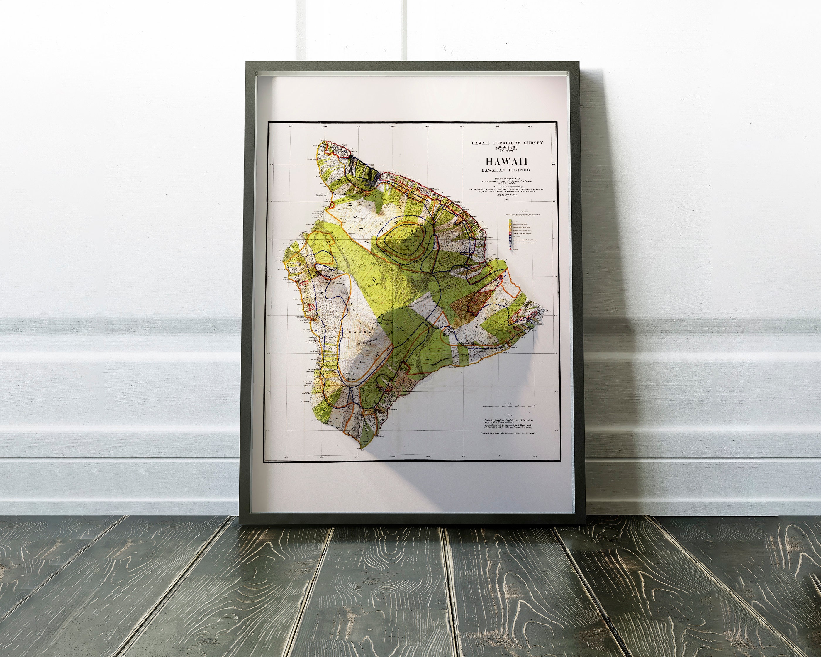 Hawaii Map Big Island Hawaii Vintage Topographical Map, Wall Art