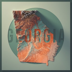 Georgia State