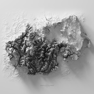 Shasta National Forest - California - Monochromatic