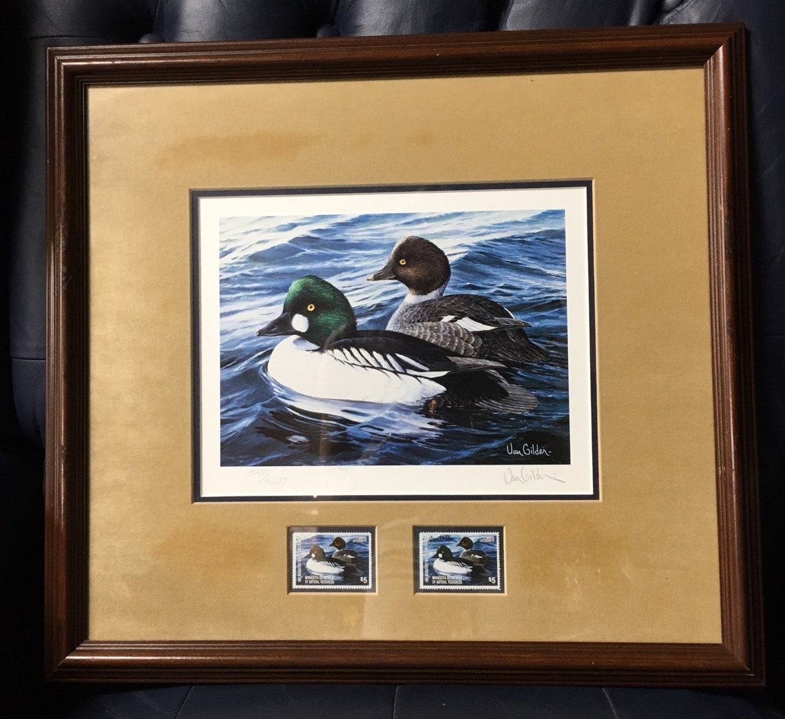 1987 Minnesota Duck Stamp Print Common Goldeneyes By Ron Van Etsy