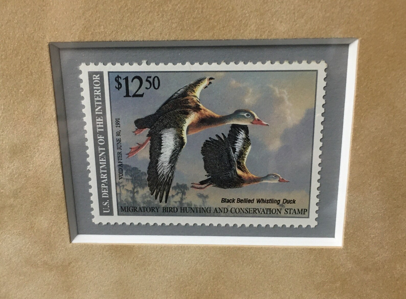 19901991 Federal Duck Stamp Print Black Bellied Whistling Etsy