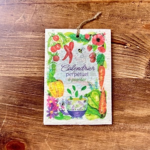Calendrier ensemencé perpétuel à planter  avec 13 graines à semer différentes illustration Ipiapia cadeau parfait pour jardinier