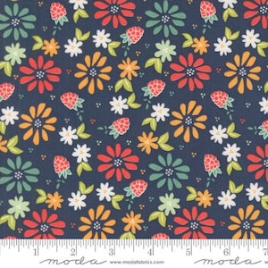 Raspberry Summer Blueberry 37690 20 Moda