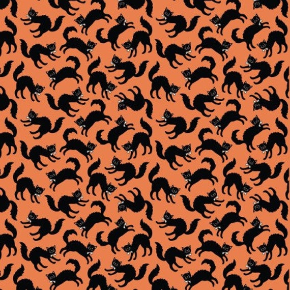 Sweet Tooth: Scaredy Cat in Orange Sweet Tooth: Scaredy Cat in Orange
