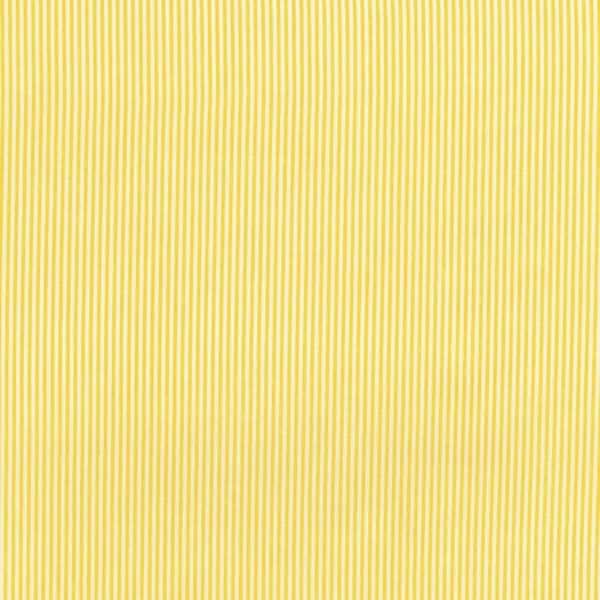 2960-005 Dots & Stripes - Between The Lines - Daisy Fabric