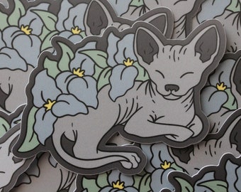Naked Cat Sphynx - Etsy