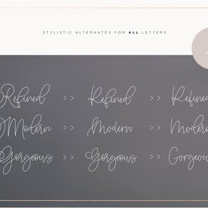 May include: Stylistic alternates for all letters, showing three variations of the words "Refined", "Modern", and "Gorgeous" in a cursive font on a gray background.