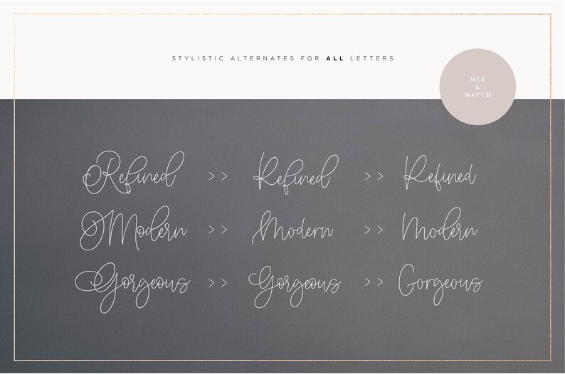 May include: Stylistic alternates for all letters, showing three variations of the words "Refined", "Modern", and "Gorgeous" in a cursive font on a gray background.