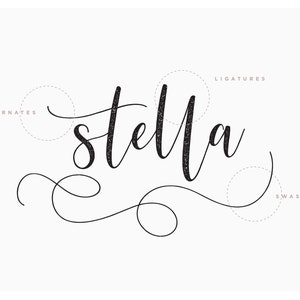 May include: A handwritten font called "Stella" with examples of ligatures, alternates, and swashes.