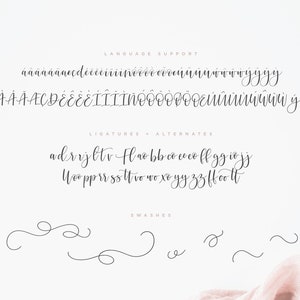 May include: A font alphabet chart with lowercase and uppercase letters, ligatures, alternates, and swashes. The font is a cursive script style.