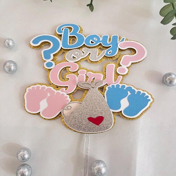 Gender Reveal Decorations Set Gender Reveal Party Decorations Baby Gender
