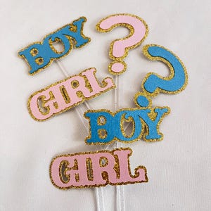 Gender reveal cupcake topper, Gender reveal party, He or she cupcake topper, Gender reveal food pick, Gender reveal idea, Boy or Girl team