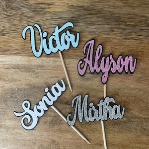 Name cupcake toppers, Custom name or number cupcake toppers, Personalized cupcake toppers, Name food picks, Custom food picks, Set of 12
