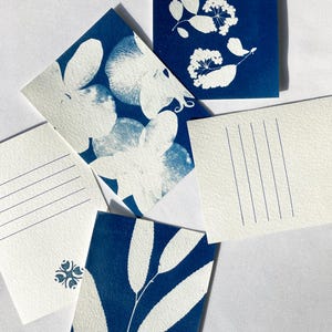 Cartoline cianotipiche botaniche. Stampe originali fatte a mano ispirate alla natura. Buoni regalo Flora.