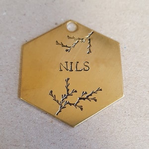 Winter branches hexagon tag