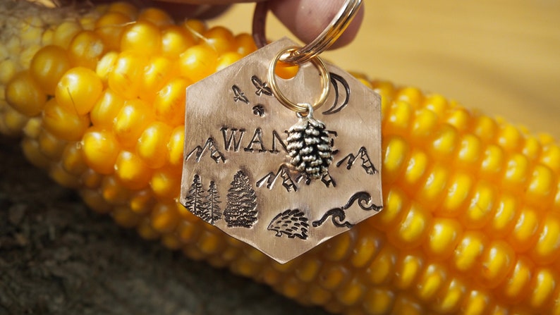 Hedgehog hexagon tag