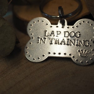 Mickey lapdog in training bone tag (Support Animal shelter Ghent)