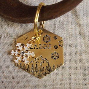 Snow paradise hexagon tag