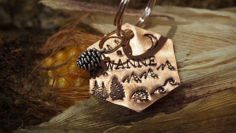 Hedgehog hexagon tag