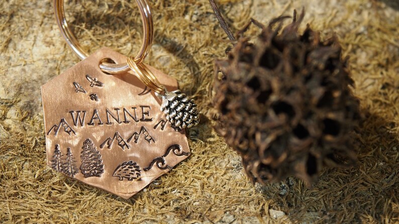 Hedgehog hexagon tag
