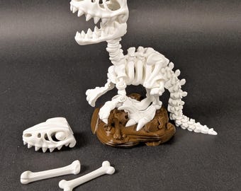 Velociraptor Dinosaur Skeleton, Optional Display Base, 3 Sizes and 26+ Color Choices