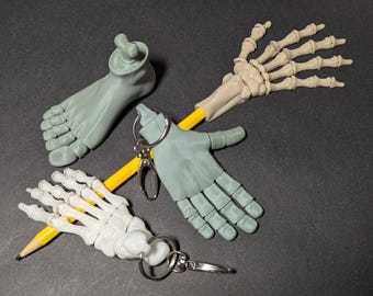 Articulated Hand and Foot Toys, 3 sizes, 26+ Colors Choices