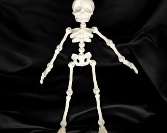 Articulated Skeleton Desk Toy or Wall Decoration, 3D Printed to Order, 26+ Color Choices