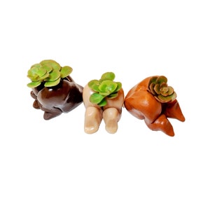 May include: Three small ceramic planters shaped like human buttocks in dark brown, light beige, and terracotta orange. Each planter features a smooth, glossy finish and contains a small green succulent plant growing from the top opening.