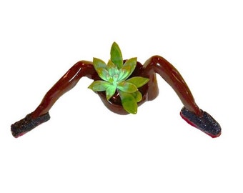 Fashionable Mini Desk Planters For Home or Office Plant Included.