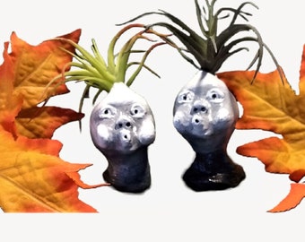 Boo Cutest Ghostly Air Plant Holders Plants Included Set of Two (2)