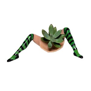 Mini Witch Planter with Plant 3 Colors Available. Green