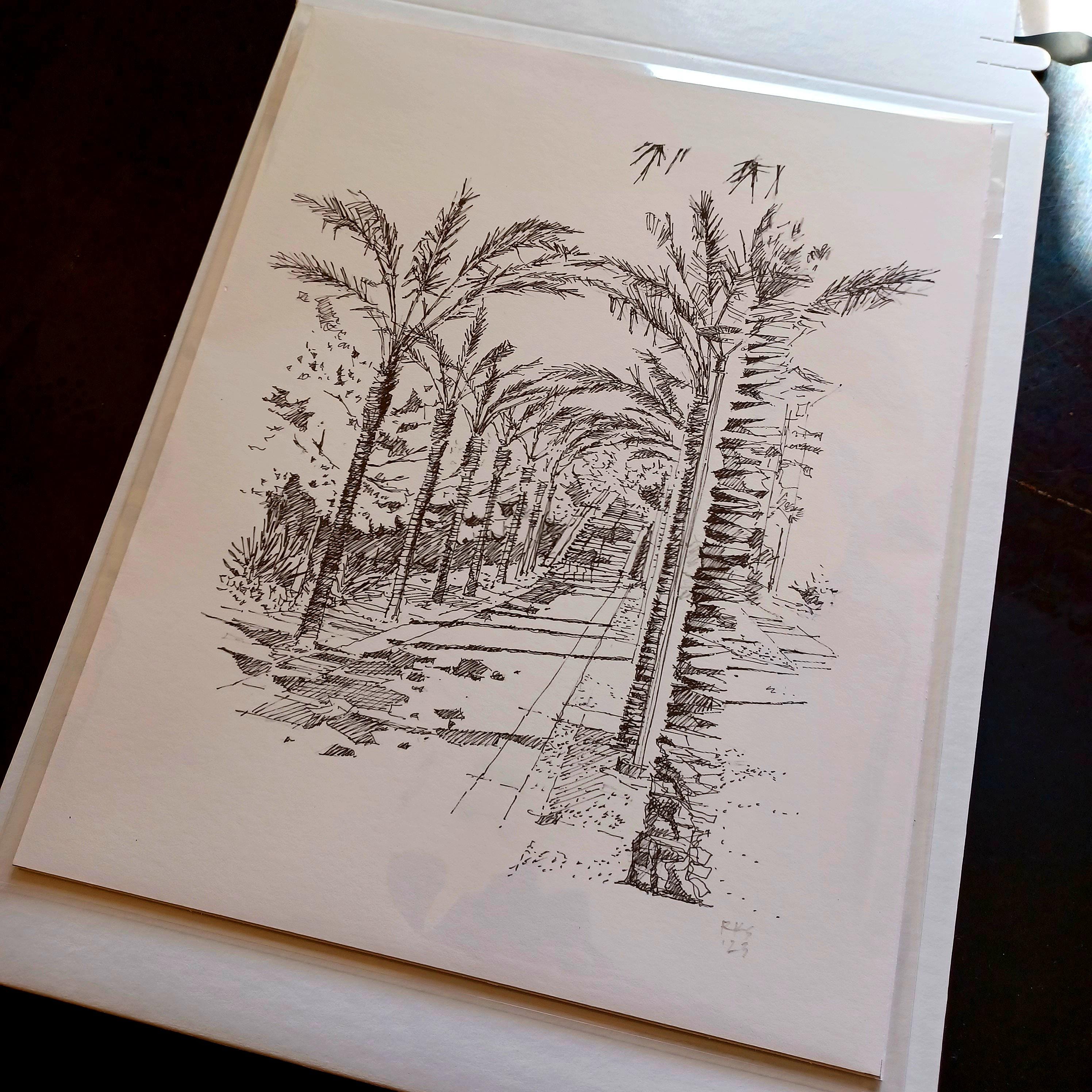 ASU Palm Walk Drawing Print, Tempe Arizona, Graduation Gift - Etsy