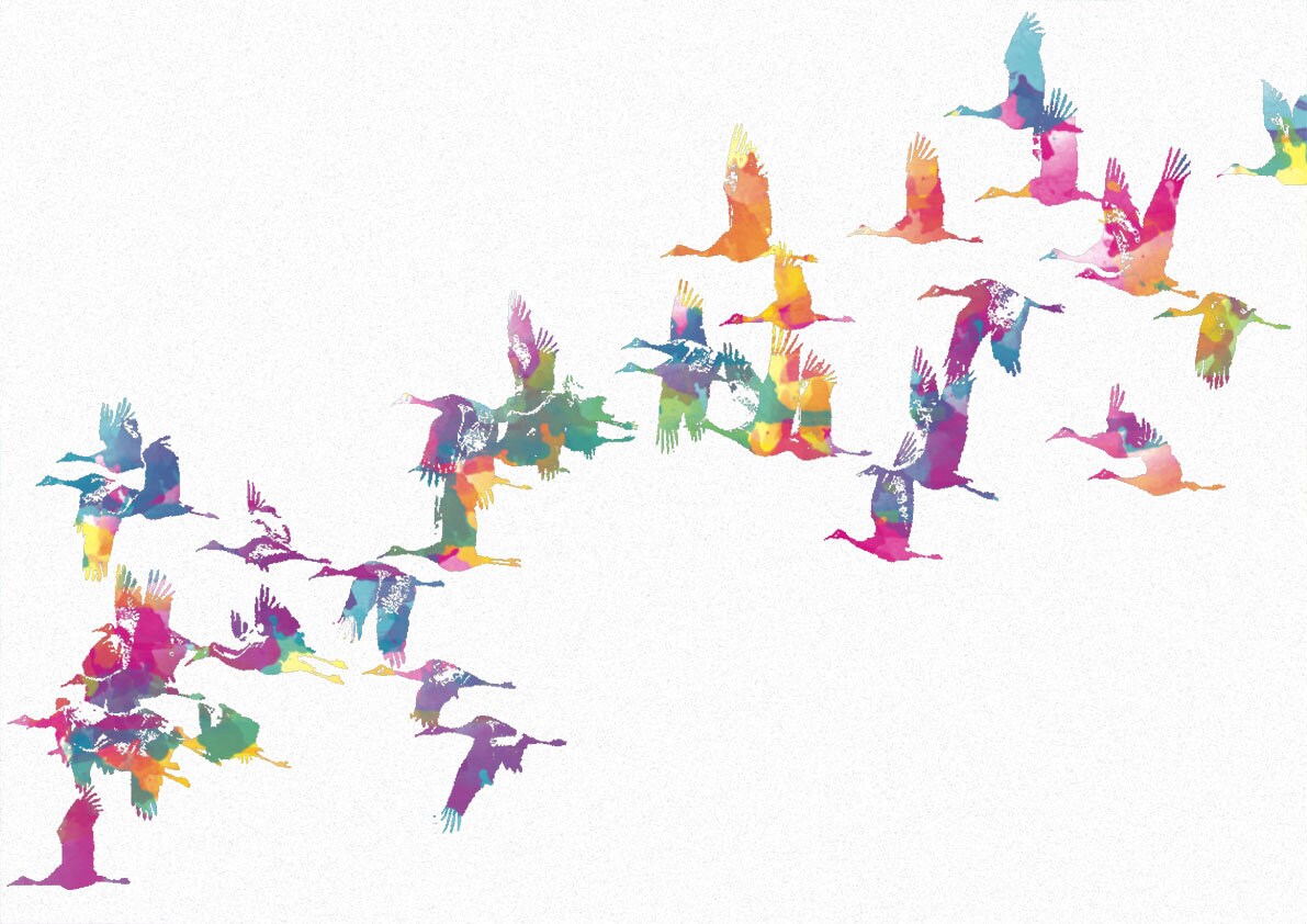 Flock of birds art print bird art print bird art print Etsy