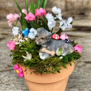 Miniature Garden, Miniature Dog Garden, Miniature Garden Kit, Complete Miniature Garden Kit, Miniature Garden Accessories/Fairy Garden