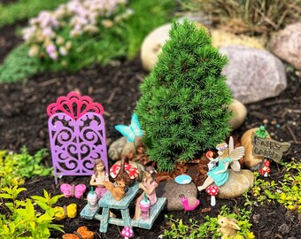 Fairy Garden, 19 Piece Fairy Garden Kit, Miniature Fairy Garden Supplies, Fairy Garden Accessories, First Fairy Garden Kit, Fairy Supplies