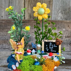 Fairy Garden, Teacher Fairy Garden, Miniature Fairy Garden, Miniature Garden Accessories, Complete Fairy Garden, Fairy Garden Supply