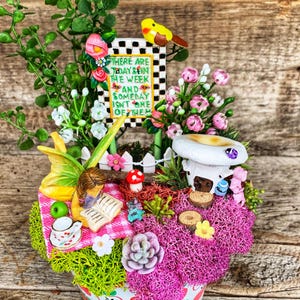 Fairy Garden - Teacher Fairy Garden, Miniature Fairy Garden, Complete Fairy Garden, Teacher Appreciation Gift, Fairy Garden Accessories
