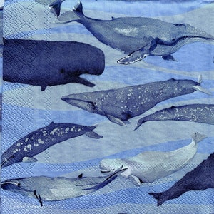 3 tovaglioli da cena Boston Internatinal Blue Whale per decoupage