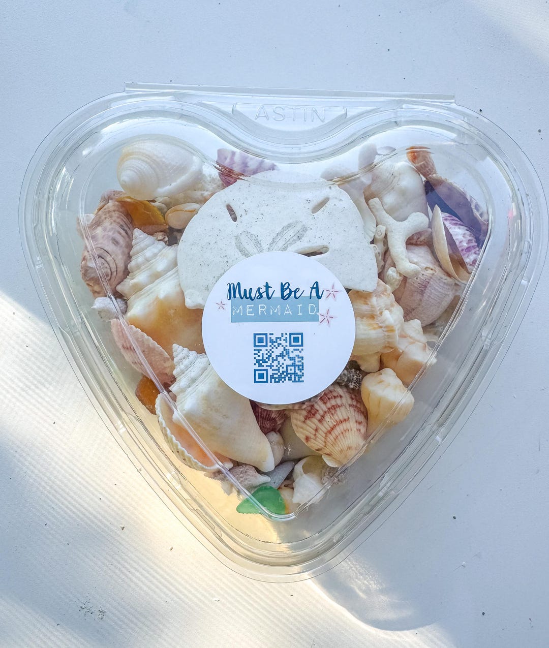 Sweetheart Sea Shells Collection - Etsy