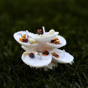 May include: A white tiered cake stand with dried flowers and petals on each tier. The stand is made of ceramic and has a smooth, white finish.