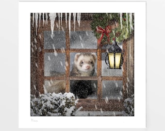 A Winter Day Indoors Ferret art print, picture, poster. Ferret gift. Wall decor for home painting art gallery or office. Limited edition