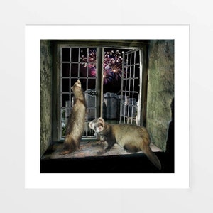 Ferret art print, picture, poster - Frisky Ferret Fireworks - Artist signed limited edition. Gift wall decor for home painting gallery