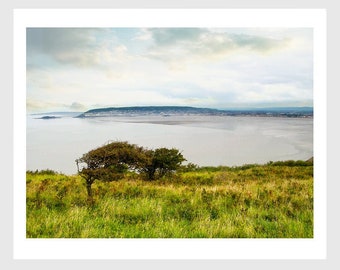 Konsttryck av Brean Down i Somerset, bild. Utsikt mot Weston Super Mare. Signerad av konstnären. Väggkonst för affischmålning i galleriet.
