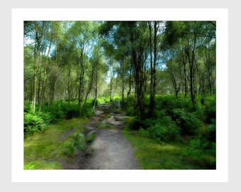 Woodland Path art print, Poster, Painting. Signed limited edition countryside gift.  Wall art for picture gallery