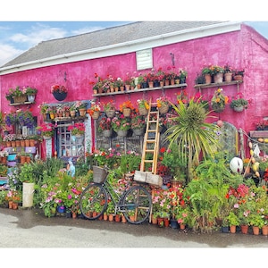 The Pink House art print, poster, painting, picture, home wall art decor. Lizard Cornwall. Gardeners Birthday Anniversary Wedding Gift.