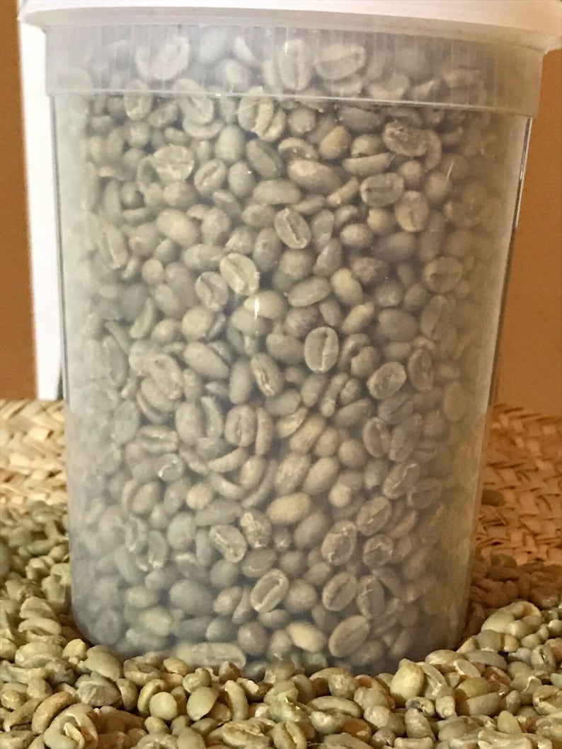 One Pound Green Coffee Beans Unroasted Ethiopian Yirgacheffe Etsy Canada