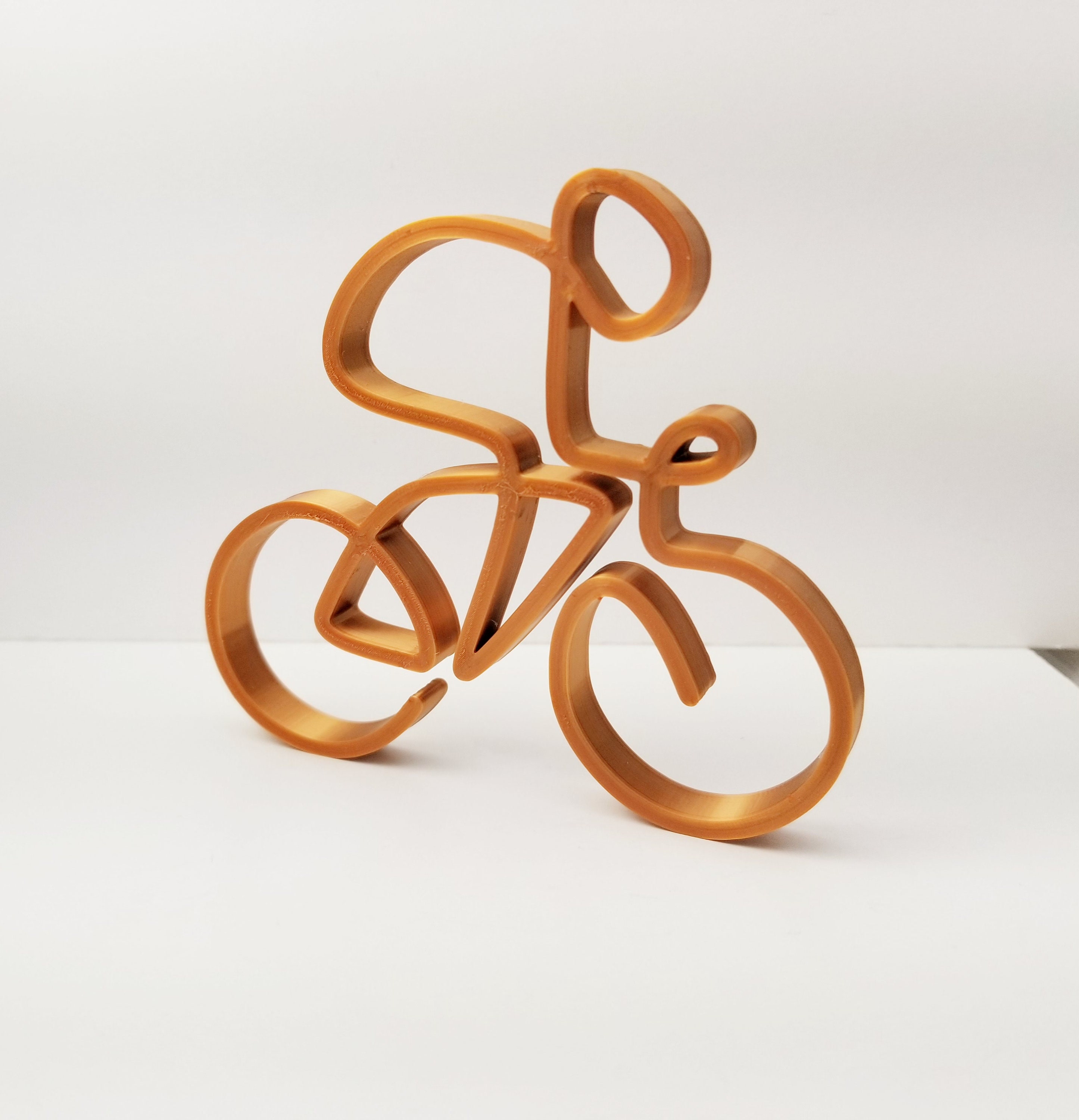 display bike on wall